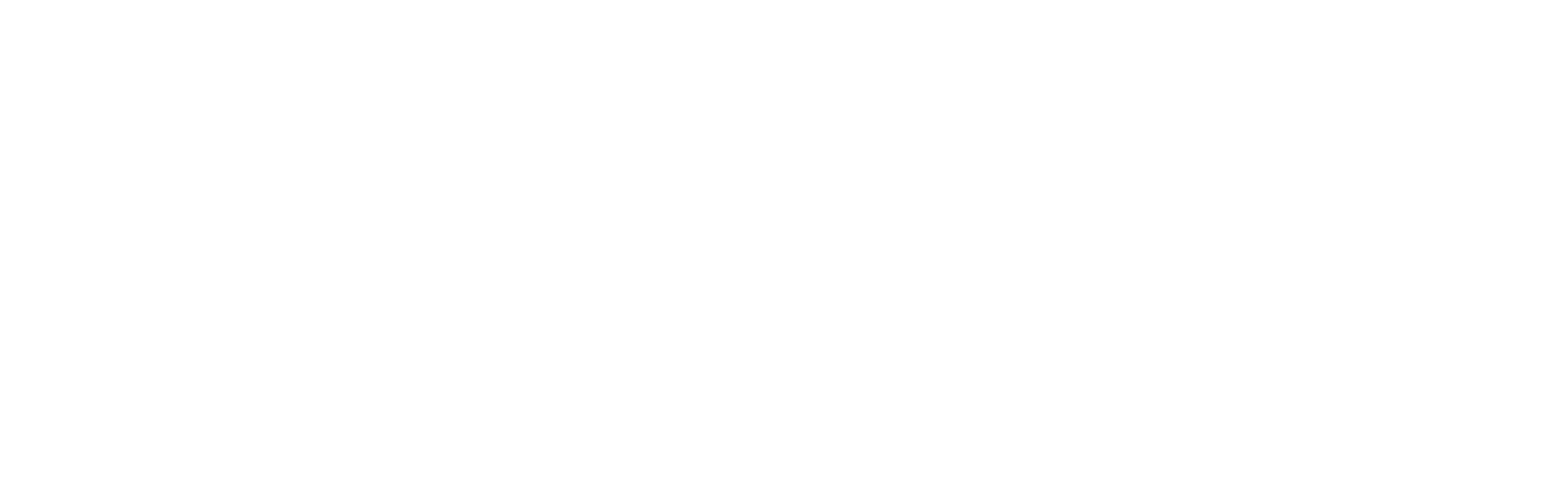 networx by iris white header logo